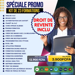 PACK DIGITAL MASTERY: 23 Formations top gagnants avec Droits de Revente