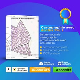 CARTOGRAPHIE ET SIG AVEC ARCGIS PRO niveau 1