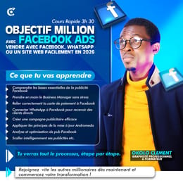 Objectif Million avec Facebook Ads