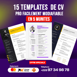 15 TEMPLATES  DE CV  PRO FACILEMENT MODIAFIABLE