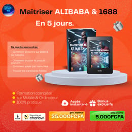 Maîtriser Alibaba et 1688 en toute sécurité (Vidéo explicative Détaillée)