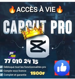 Capcut pro a vie