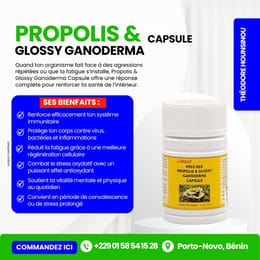 PROPOLIS & GLOSSY GANODERMA – Une réponse bio contre l’affaiblissement immunitaire et au cancer