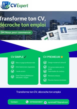 CV parfait