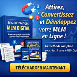 Le Guide pratique du MLM Digital: Automatise et Digitalise ton MLM