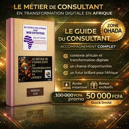 LE METIER DE CONSULTANT DIGITAL EN AFRIQUE