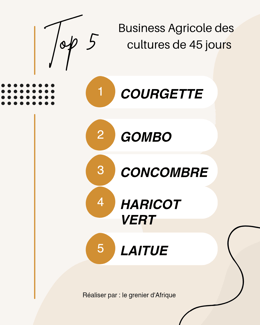 Top 5 des cultures maraîchère de 45 jours