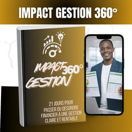 IMPACT GESTION 360°