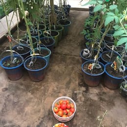 Formation complète en Agriculture hors sol et Elevage pour lancer un busness rentable