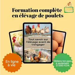 Formation complète en élevage de volailles