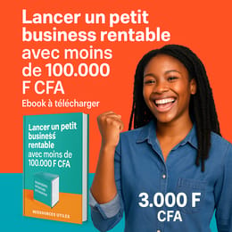 COMMENT LANCER UN PETIT BUSINESS RENTABLE AVEC MOINS DE 100.000 F.CFA