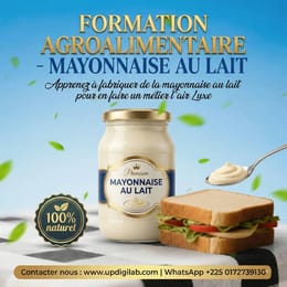 FABRICATION DE LA MAYONNAISE AU LAIT