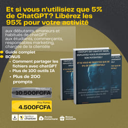 Et si vous n'utilisiez que 5% de ChatGPT? Libérez les 95% pour votre activité