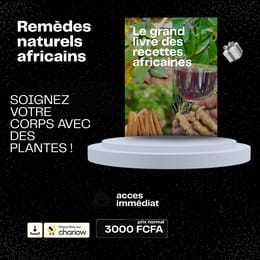 Remèdes naturels africains
