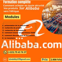Formation complète sur Alibaba