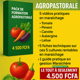 🍅🍆🥬🔥 𝗣𝗔𝗖𝗞 𝟮𝟬𝟮𝟱 𝗗𝗘 𝗙𝗢𝗥𝗠𝗔𝗧𝗜𝗢𝗡 𝗔𝗚𝗥𝗢𝗣𝗔𝗦𝗧𝗢𝗥𝗔𝗟𝗘 ! 🚜🐓🌱