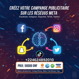 Apprendre comment créer une campagne publicitaire sur le réseaux