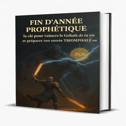 ●vaincre le Goliath de ta vie et préparer ton entrée TRIOMPHALE en 202
