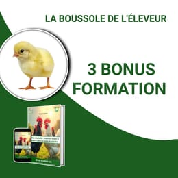 BONUS: La Boussole & Video de formation