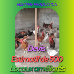 Devis 500 locaux amélioré