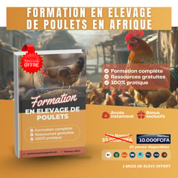 Formation Complète en Aviculture– Devenez un Éleveur de Poulet Performant