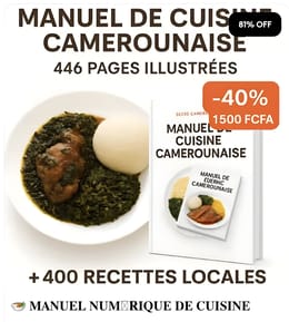 MANUEL DE 400 RECETTES DE PLATS CAMEROUNAIS