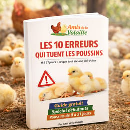 LES 10 ERREURS QUI TUENT LES POUSSINS