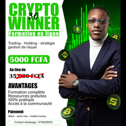 CRYPTO WINNER 3.0 : MAITRISER ENFIN L'UNIVERS CRYPTO ET SES ROUAGES