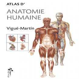 Atlas d'Anatomie humaine