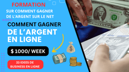FORMATION SUR COMMENT GAGNER DE L'ARGENT SUR INTERNET PLUS 33 IDEES DE BUSINESS EN LIGNE