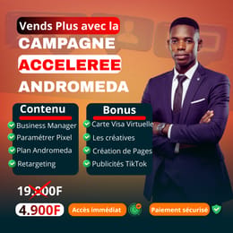 CAMPAGNES FACEBOOK ACCELEREES QUI VENDENT AVEC ANDROMEDA