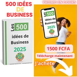 500 Idées de Business plan bien détaillé