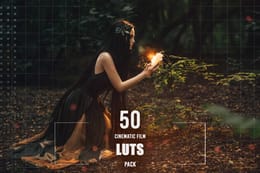 50 Cinematic Luts pour Première Pro et Davinci