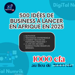 500 IDÉES DE BUSINESS À LANCER EN AFRIQUE EN 2026