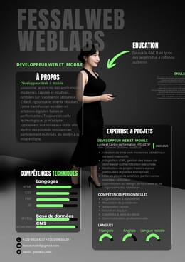 CV PROFESSIONNEL MODIFIABLE