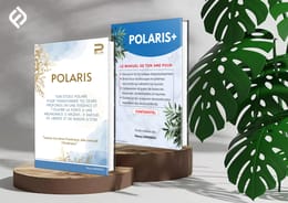 POLARIS