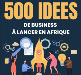 E-BOOK EXPLIQUE LES 500 IDEES DE BUSINESS POUR ENTREPRENDRE