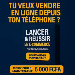 Lancer et Reussir en E-commerce