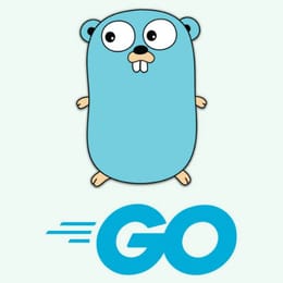 Formation complète Go pour débutants