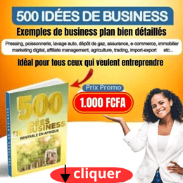 500 idées de business