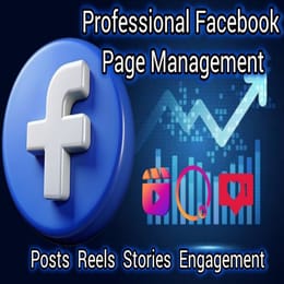 Gestion professionnelle de page Facebook