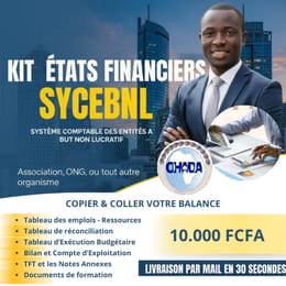 Pack États Financiers SYCEBNL : Automatisez vos liasses fiscales et gagnez un temps précieux !