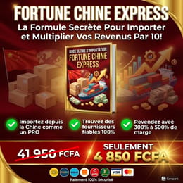 🚀 FORTUNE CHINE EXPRESS - La Formule Secrète Pour Importer et Multiplier Vos Revenus Par 10 !