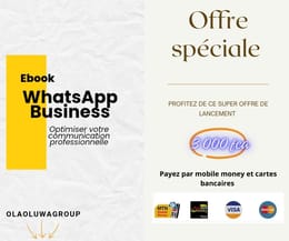 Boostez vos ventes: Utilisez un compte WhatsApp professionnel dès aujourd'hui