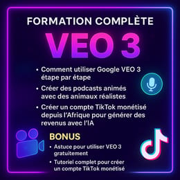 FORMATION COMPLÈTE VEO 3 + ACCOMPAGNEMENT