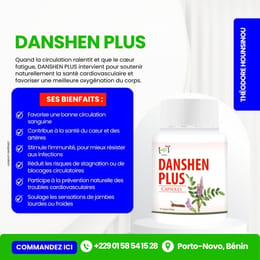 DANSHEN PLUS CAPSULE (ICP) – favorise une meilleure circulation et protège cœur et cerveau