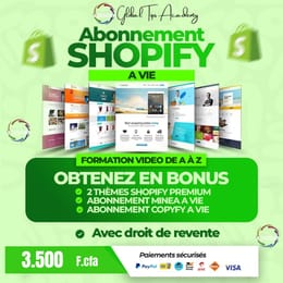 ABONNEMENT SHOPIFY, MINEA & COPYFY  A VIE + FORMATION COMPLETE