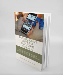 De 0 à 1500€ grâce à la plateforme système.io