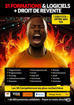 51 FORMATIONS VIDÉO AU PRIX D'OR