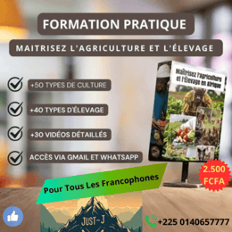 AGRICULTURE & ELEVAGE